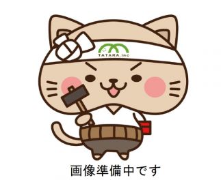 熊本市中央区帯山４丁目（第１５）新築戸建　１号棟